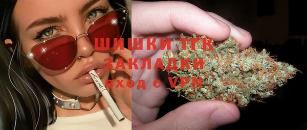 тгк Арсеньев