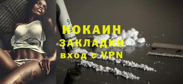 тгк Арсеньев
