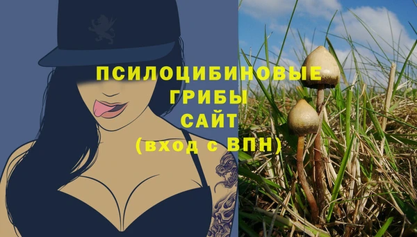 сатива Армянск